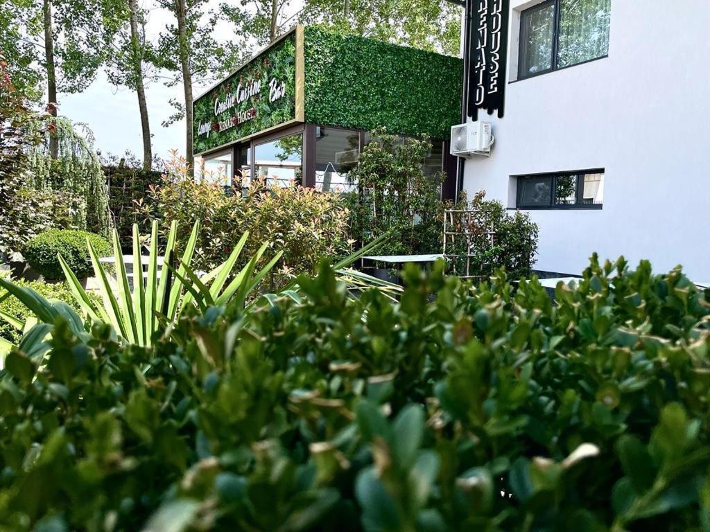 Hotel Renato House Târgu Jiu Exterior foto