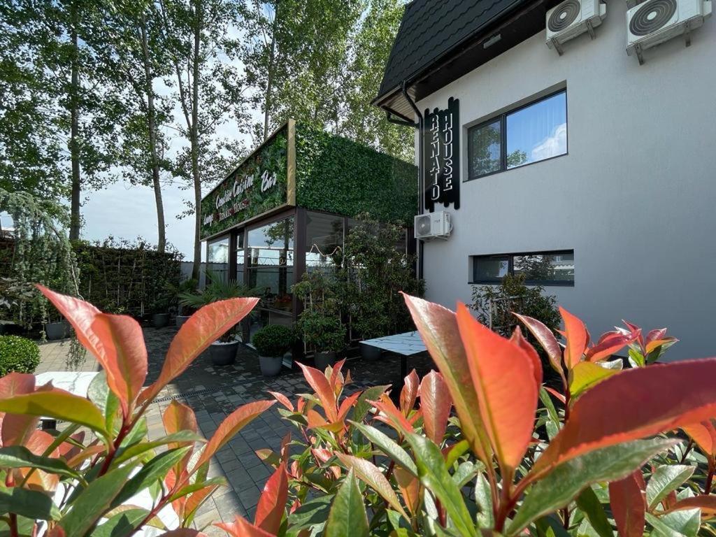 Hotel Renato House Târgu Jiu Exterior foto